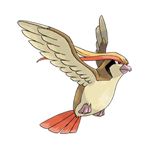 Pidgeot