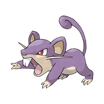 Rattata