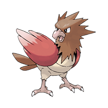 Spearow